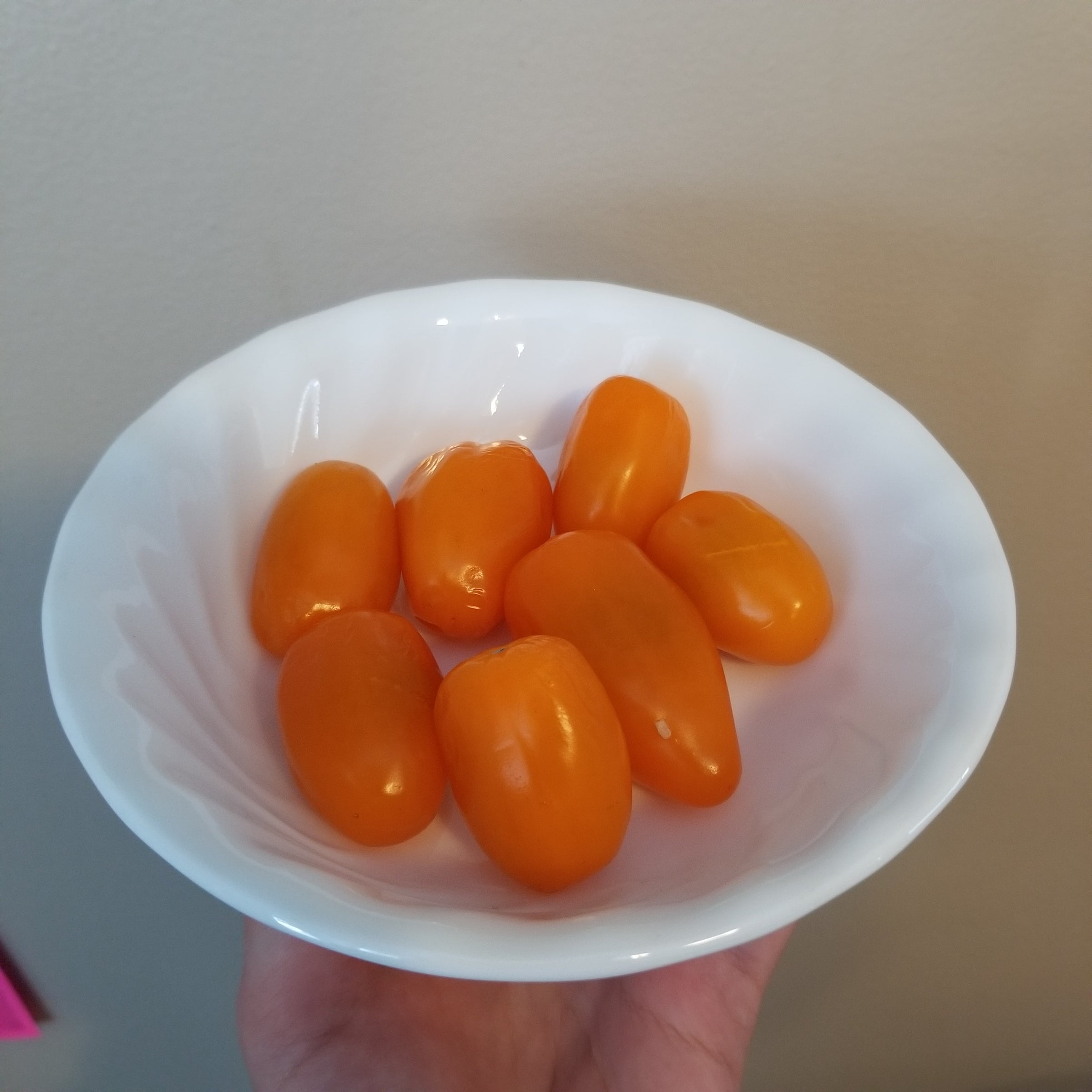 Elongated Orange Grape Tomato Seeds Canada, Container Gardening