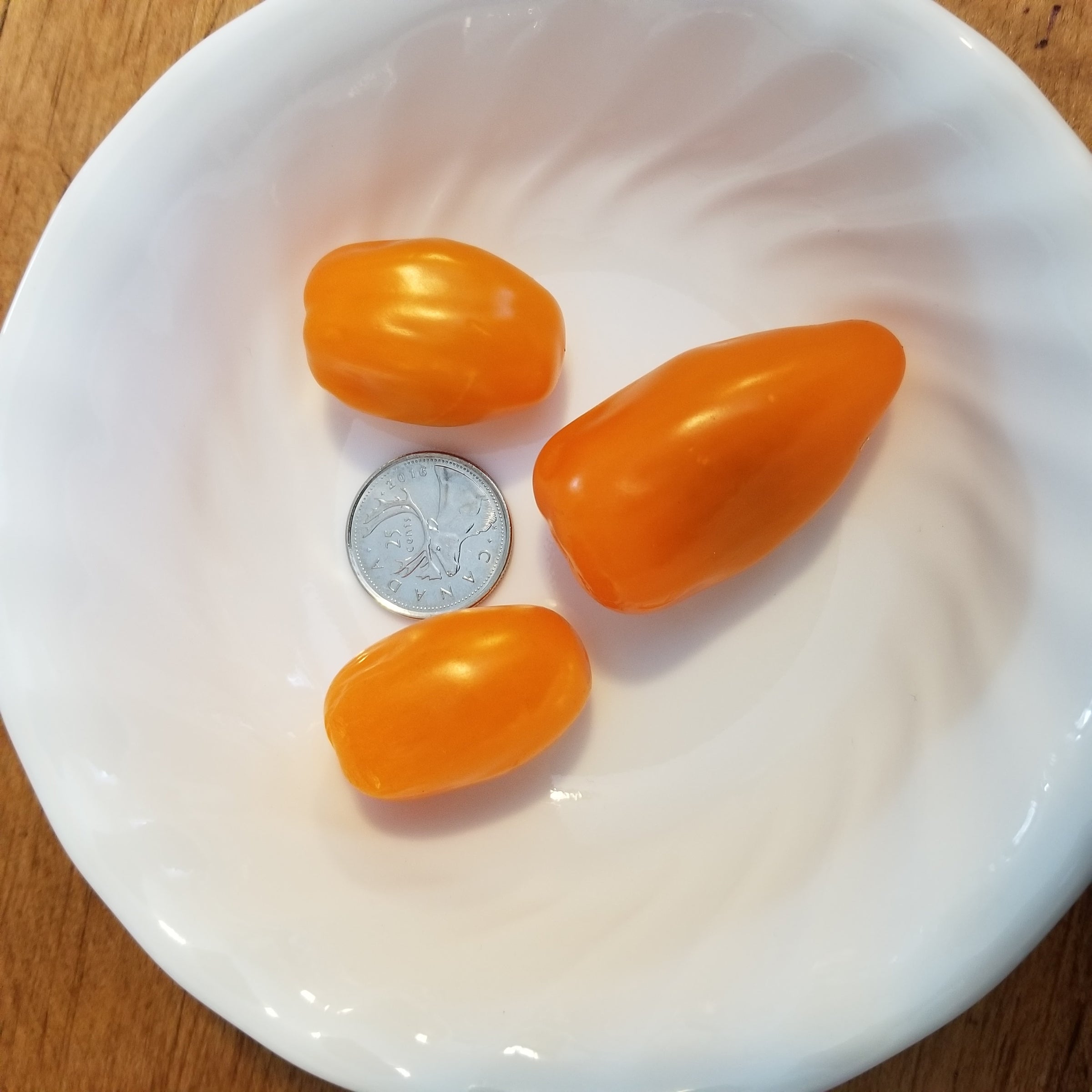 Elongated Orange Grape Tomato Seeds Canada, Container Gardening