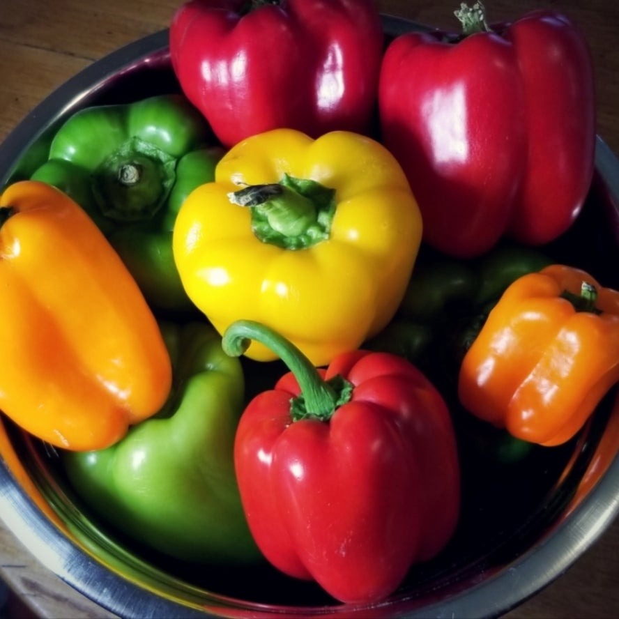 Rainbow Mix Sweet Bell Pepper Seeds, Mixed Color Peppers 20+ Vegetable