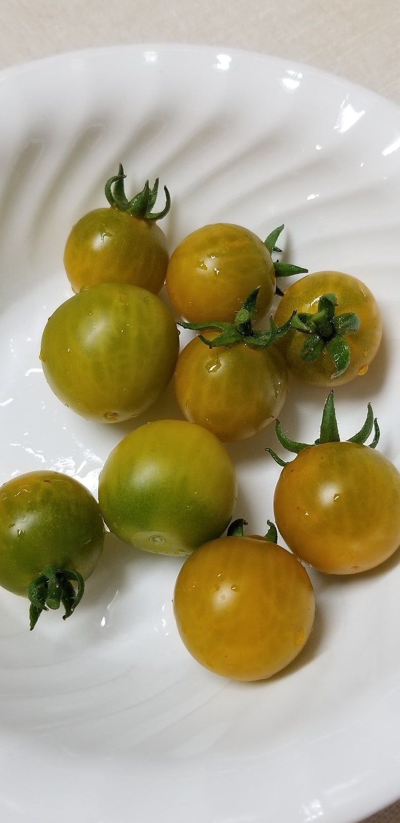 Fat Frog Micro Dwarf Tomato Seeds Canada, Determinate Tomato, Yellow